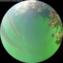 ./images/calvert/underwater/20260608/underwater20260608_082501M.jpg