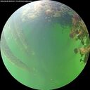 ./images/calvert/underwater/20260608/underwater20260608_083501M.jpg