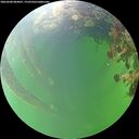 ./images/calvert/underwater/20260608/underwater20260608_084001M.jpg