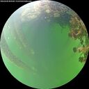 ./images/calvert/underwater/20260608/underwater20260608_084501M.jpg