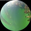 ./images/calvert/underwater/20260608/underwater20260608_100501M.jpg