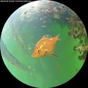 ./images/calvert/underwater/20260608/underwater20260608_101002M.jpg