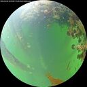 ./images/calvert/underwater/20260608/underwater20260608_102501M.jpg