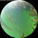 ./images/calvert/underwater/20260608/underwater20260608_103001M.jpg