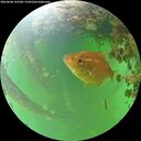 ./images/calvert/underwater/20260608/underwater20260608_103501M.jpg