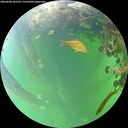 ./images/calvert/underwater/20260608/underwater20260608_105502M.jpg