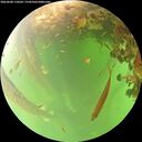 ./images/calvert/underwater/20260608/underwater20260608_110502M.jpg