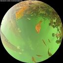 ./images/calvert/underwater/20260608/underwater20260608_112002M.jpg