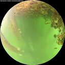 ./images/calvert/underwater/20260608/underwater20260608_113001M.jpg