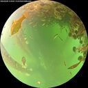 ./images/calvert/underwater/20260608/underwater20260608_114501M.jpg