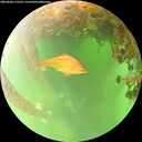 ./images/calvert/underwater/20260608/underwater20260608_115501M.jpg