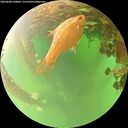 ./images/calvert/underwater/20260608/underwater20260608_120002M.jpg