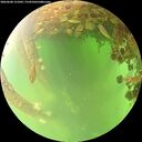 ./images/calvert/underwater/20260608/underwater20260608_121001M.jpg