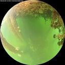 ./images/calvert/underwater/20260608/underwater20260608_121501M.jpg