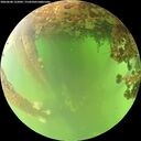 ./images/calvert/underwater/20260608/underwater20260608_122001M.jpg