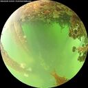 ./images/calvert/underwater/20260608/underwater20260608_122501M.jpg