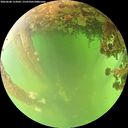 ./images/calvert/underwater/20260608/underwater20260608_123001M.jpg