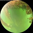 ./images/calvert/underwater/20260608/underwater20260608_123502M.jpg