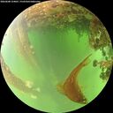 ./images/calvert/underwater/20260608/underwater20260608_124001M.jpg