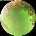 ./images/calvert/underwater/20260608/underwater20260608_124501M.jpg