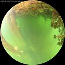 ./images/calvert/underwater/20260608/underwater20260608_125001M.jpg