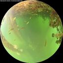 ./images/calvert/underwater/20260608/underwater20260608_130501M.jpg