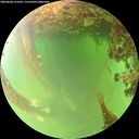 ./images/calvert/underwater/20260608/underwater20260608_131001M.jpg
