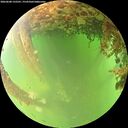 ./images/calvert/underwater/20260608/underwater20260608_132501M.jpg