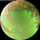 ./images/calvert/underwater/20260608/underwater20260608_133001M.jpg