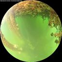 ./images/calvert/underwater/20260608/underwater20260608_133502M.jpg