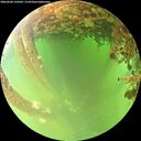 ./images/calvert/underwater/20260608/underwater20260608_134501M.jpg