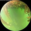./images/calvert/underwater/20260608/underwater20260608_135001M.jpg