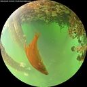 ./images/calvert/underwater/20260608/underwater20260608_135502M.jpg