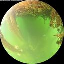 ./images/calvert/underwater/20260608/underwater20260608_140001M.jpg