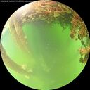 ./images/calvert/underwater/20260608/underwater20260608_140501M.jpg