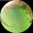 ./images/calvert/underwater/20260608/underwater20260608_141001M.jpg