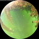 ./images/calvert/underwater/20260608/underwater20260608_141501M.jpg