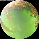 ./images/calvert/underwater/20260608/underwater20260608_142002M.jpg