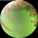 ./images/calvert/underwater/20260608/underwater20260608_143001M.jpg