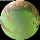 ./images/calvert/underwater/20260608/underwater20260608_143501M.jpg