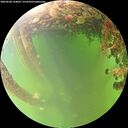 ./images/calvert/underwater/20260608/underwater20260608_144001M.jpg