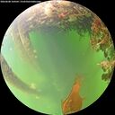 ./images/calvert/underwater/20260608/underwater20260608_144501M.jpg
