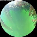 ./images/calvert/underwater/20260608/underwater20260608_145001M.jpg