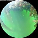 ./images/calvert/underwater/20260608/underwater20260608_145501M.jpg