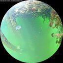 ./images/calvert/underwater/20260608/underwater20260608_150001M.jpg
