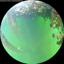 ./images/calvert/underwater/20260608/underwater20260608_150501M.jpg