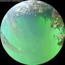 ./images/calvert/underwater/20260608/underwater20260608_151001M.jpg