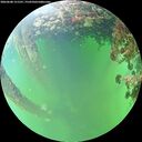 ./images/calvert/underwater/20260608/underwater20260608_151501M.jpg