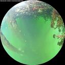 ./images/calvert/underwater/20260608/underwater20260608_152002M.jpg