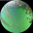 ./images/calvert/underwater/20260608/underwater20260608_152501M.jpg